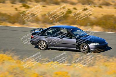 media/Nov-16-2024-Extreme Speed (Sat) [[6587d07cc4]]/Purple Group/Session 3 (The Bowl)/